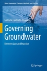 Image for Governing Groundwater