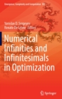 Image for Numerical infinities and infinitesimals in optimization