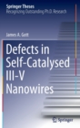 Image for Defects in self-catalysed III-V nanowires