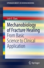 Image for Mechanobiology of Fracture Healing: From Basic Science to Clinical Application
