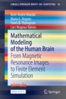 Image for Mathematical Modeling of the Human Brain