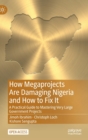 Image for How Megaprojects Are Damaging Nigeria and How to Fix It