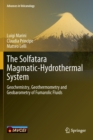 Image for The Solfatara Magmatic-Hydrothermal System