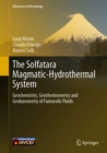 Image for Solfatara Magmatic-Hydrothermal System: Geochemistry, Geothermometry and Geobarometry of Fumarolic Fluids