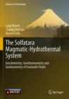 Image for The Solfatara magmatic-hydrothermal system  : geochemistry, geothermometry and geobarometry of fumarolic fluids