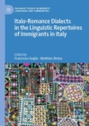 Image for Italo-romance dialects in the linguistic repertoires of immigrants in Italy