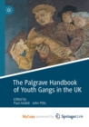 Image for The Palgrave Handbook of Youth Gangs in the UK