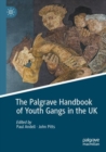Image for The Palgrave handbook of youth gangs in the UK