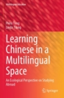 Image for Learning Chinese in a multilingual space  : an ecological perspective on studying abroad
