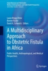 Image for A multidisciplinary approach to obstetric fistula in Africa  : public health, anthropological, and medical perspectives