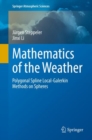 Image for Mathematics of the weather  : polygonal spline local-galerkin methods on spheres