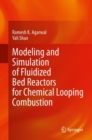 Image for Modeling and Simulation of Fluidized Bed Reactors for Chemical Looping Combustion
