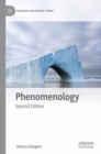 Image for Phenomenology