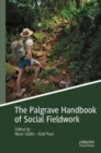 Image for The Palgrave Handbook of Social Fieldwork
