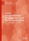 Image for Social entrepreneurship strategies and social sector sustainability: a Caribbean context
