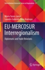 Image for EU-MERCOSUR Interregionalism: Diplomatic and Trade Relations : 24