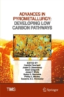 Image for Advances in pyrometallurgy  : developing low carbon pathways
