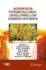 Image for Advances in pyrometallurgy  : developing low carbon pathways