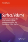 Image for Surface/Volume