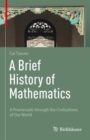 Image for A Brief History of Mathematics