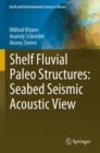Image for Shelf fluvial paleo structures  : seabed seismic acoustic view