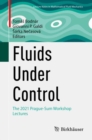 Image for Fluids under control  : the 2021 Prague-Sum workshop lectures