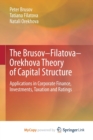 Image for The Brusov-Filatova-Orekhova Theory of Capital Structure