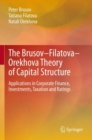 Image for The Brusov–Filatova–Orekhova Theory of Capital Structure
