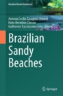 Image for Brazilian Sandy Beaches