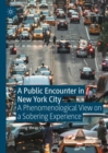 Image for A Public Encounter in New York City: A Phenomenological View on a Sobering Experience