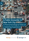 Image for A Public Encounter in New York City : A Phenomenological View on a Sobering Experience