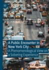 Image for A Public Encounter in New York City