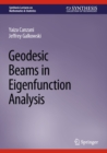 Image for Geodesic Beams in Eigenfunction Analysis