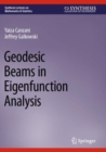 Image for Geodesic Beams in Eigenfunction Analysis