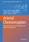 Image for Arterial chemoreceptors  : mal(adaptive) responses
