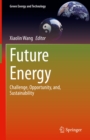 Image for Future Energy: Challenge, Opportunity, and, Sustainability