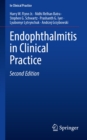 Image for Endophthalmitis in Clinical Practice
