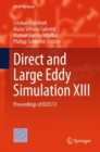 Image for Direct and Large Eddy Simulation XIII