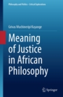 Image for Meaning of Justice in African Philosophy