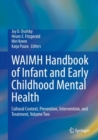 Image for WAIMH handbook of infant and early childhood mental healthVolume 2,: Cultural context, prevention, intervention, and treatment