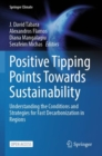 Image for Positive Tipping Points Towards Sustainability : Understanding the Conditions and Strategies for Fast Decarbonization in Regions