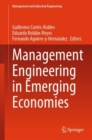 Image for Management Engineering in Emerging Economies