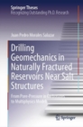 Image for Drilling Geomechanics in Naturally Fractured Reservoirs Near Salt Structures : From Pore-Pressure in Carbonates to Multiphysics Models