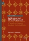 Image for Bad breaks in real GDP and employment  : exploring the persistence of aggregate demand shocks in the United States