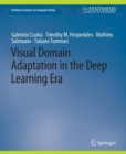 Image for Visual Domain Adaptation in the Deep Learning Era