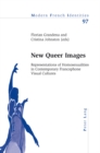 Image for New Queer Images : Representations of Homosexualities in Contemporary Francophone Visual Cultures