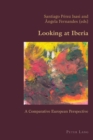 Image for Looking at Iberia : A Comparative European Perspective