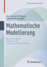 Image for Mathematische Modellierung: Grundprinzipien in Natur- und Ingenieurwissenschaften