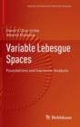 Image for Variable Lebesgue spaces  : foundations and harmonic analysis
