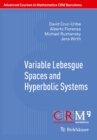 Image for Variable Lebesgue Spaces and Hyperbolic Systems